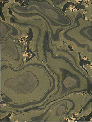 Тарханов Михаил Михайлович. Композиция